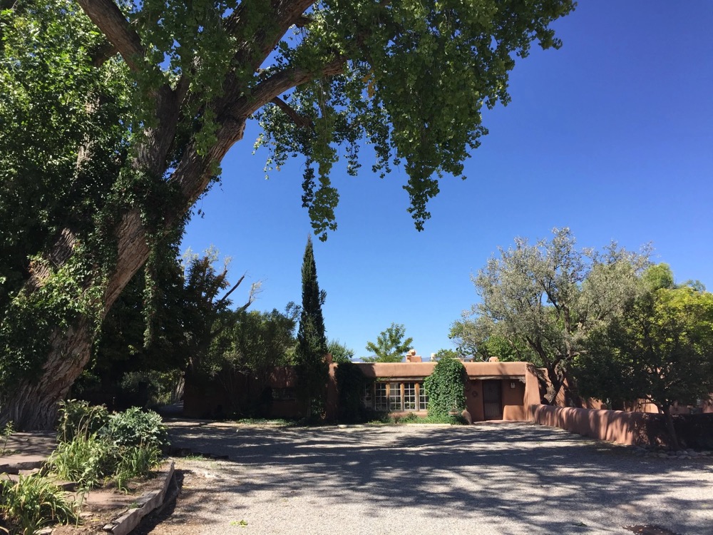 Adobe building beneath a large cottonwood tree, with a sign reading Rabbit