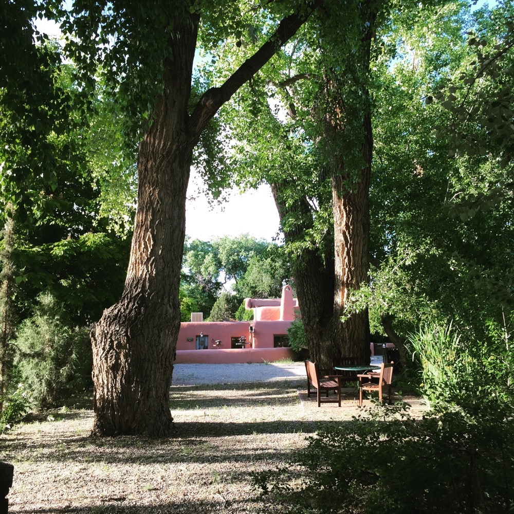 Adobe building framed by two large cottonwood trees with seating beneath