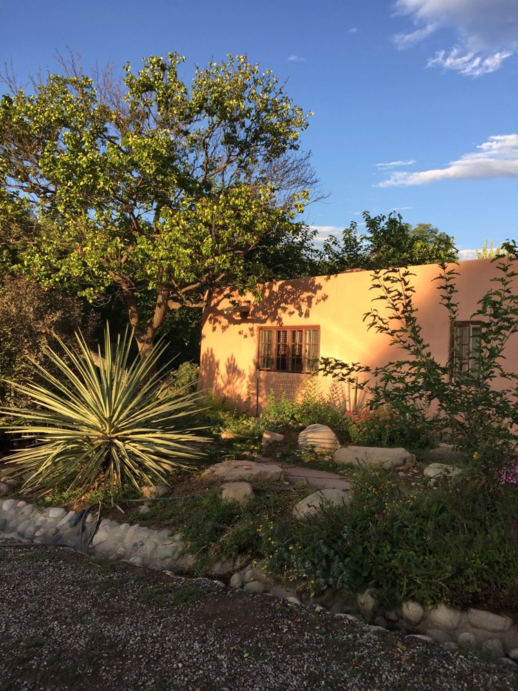 Adobe exterior in golden evening light with a yucca plant in bloom